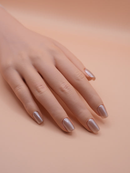 BISCOTTI